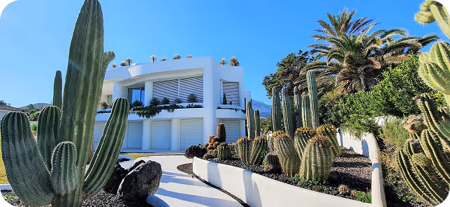 Front of residential house with cactus and palm trees at sides of pave way.